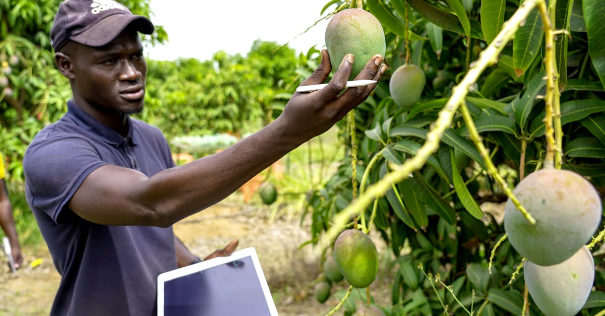 what is a possible cause for a decrease in ecosystem productivity?